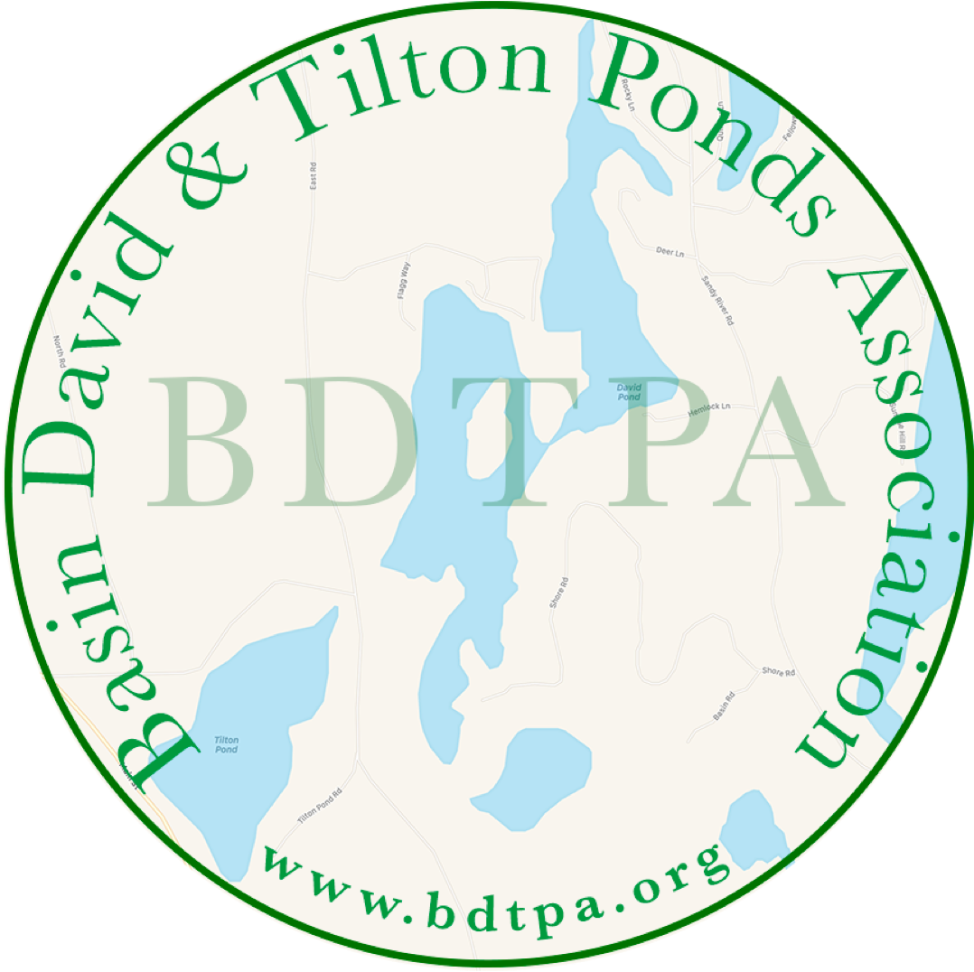 Basin David Tilton Ponds Association